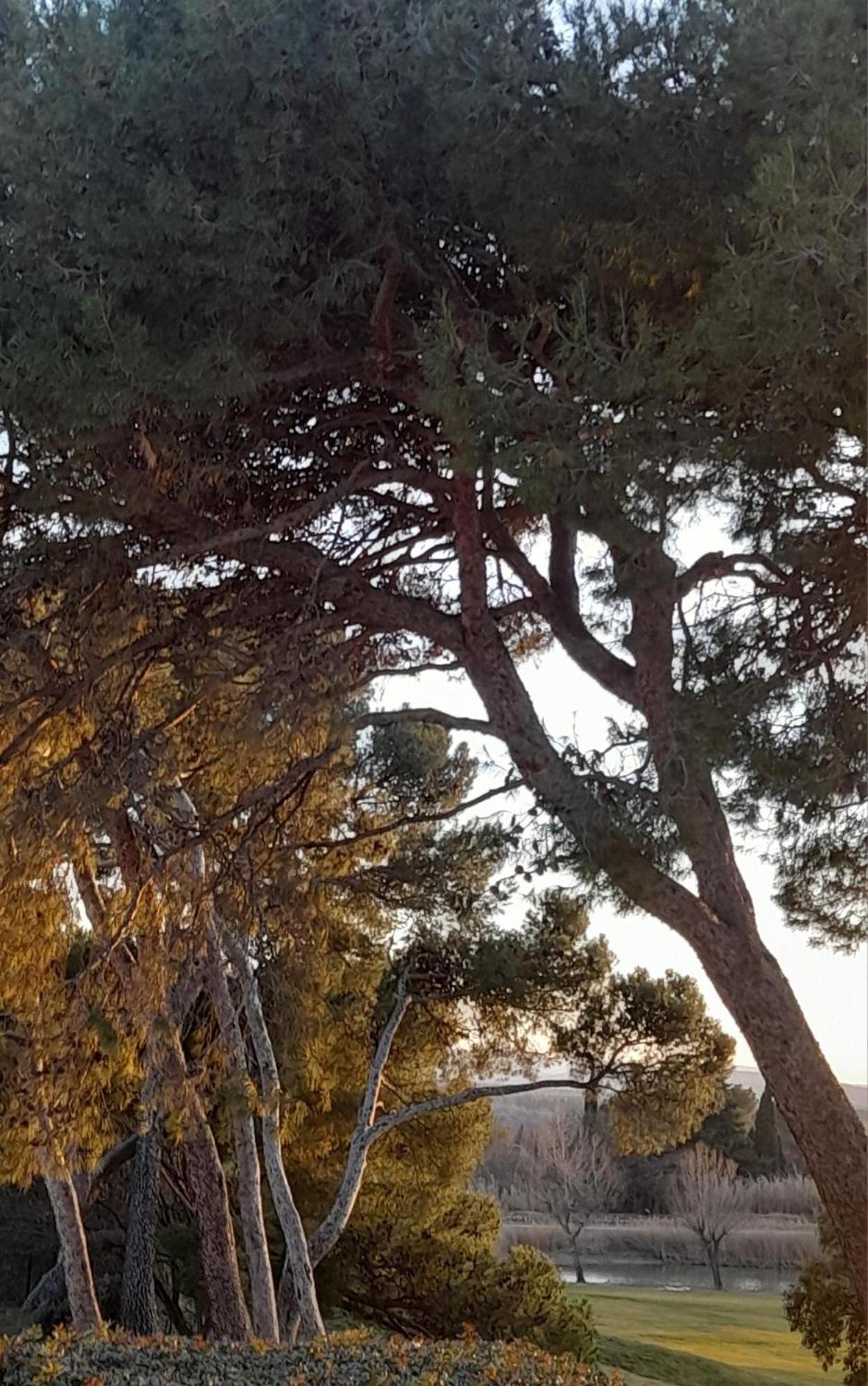 Le Paradis Saumane-de-Vaucluse